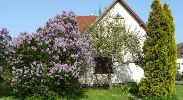 Apartmány Sněženka