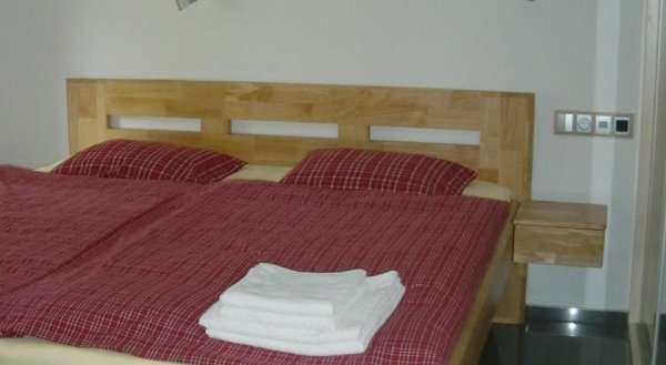 Apartment Dejvice