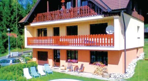 Apartment Horni Rokytnice