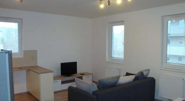 Apartment Loosova 995