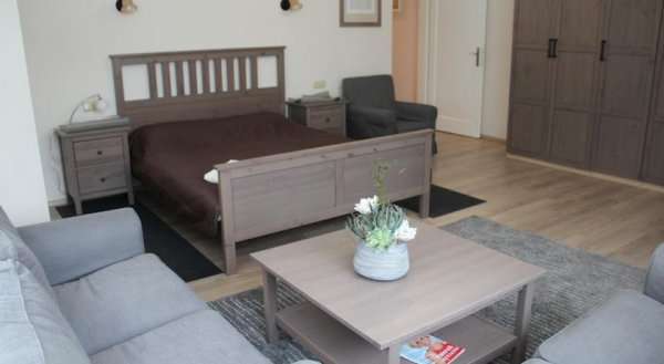 Apartment Ltava