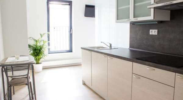 Apartment Vitkov
