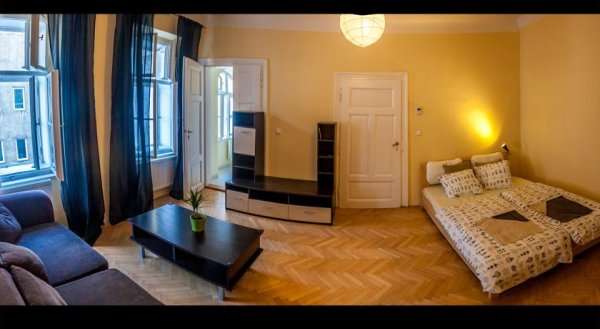 Apartment Vítkova