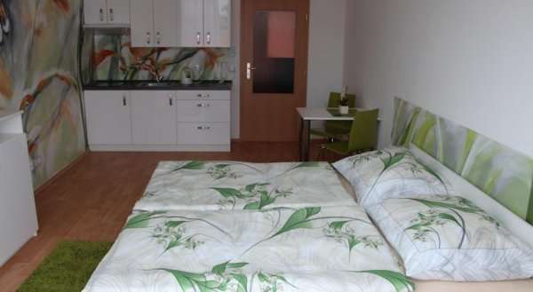 ART Apartments Třeboň