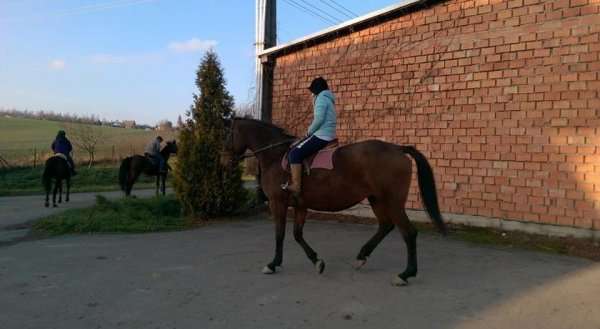 B&B Bonina