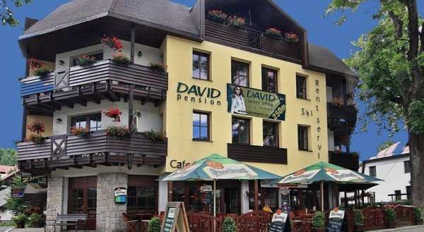 David Wellness Hotel
