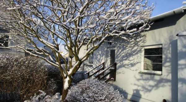 Holiday House Smetánek