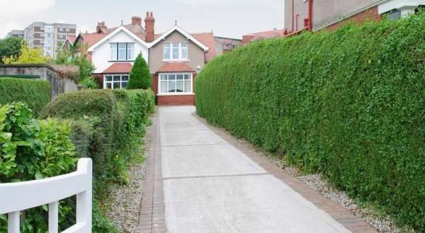 15 Elms Road