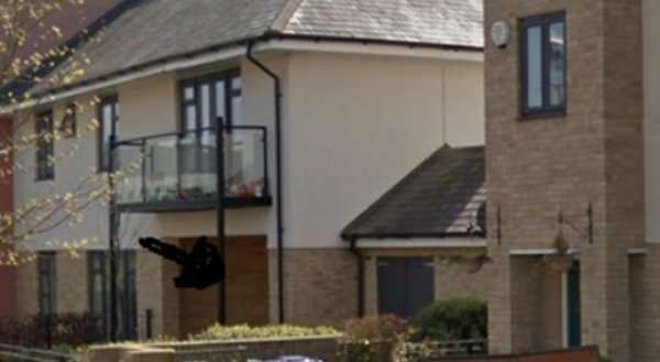 Accommodation Circus Drive