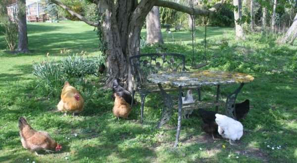 Adstock House B&B