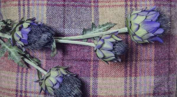 Atholl Brae
