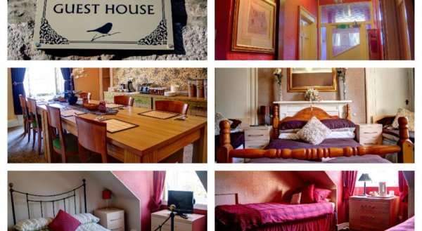 Atticus Central Guest House
