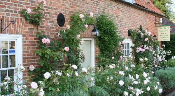 Barn Gallery Bed and Breakfast