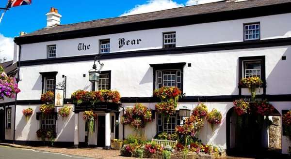 Bear Crickhowell
