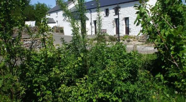 Beili Helyg Guest House