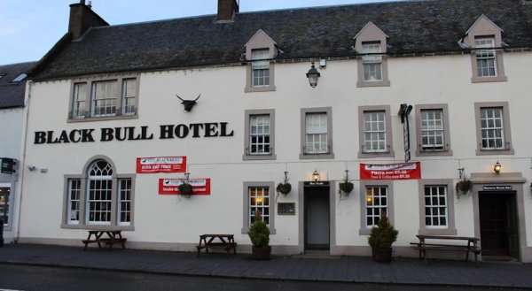 Black Bull