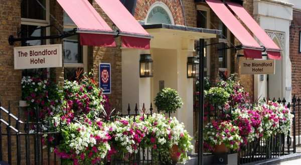 Blandford Hotel