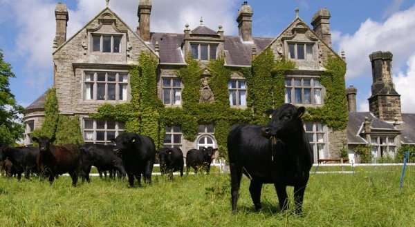 Blessingbourne Cottages & Apartments