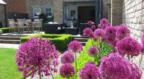 Boxtree House Boutique B&B