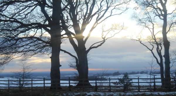 Bricktree Barn