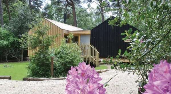 Burnbake Forest Lodges