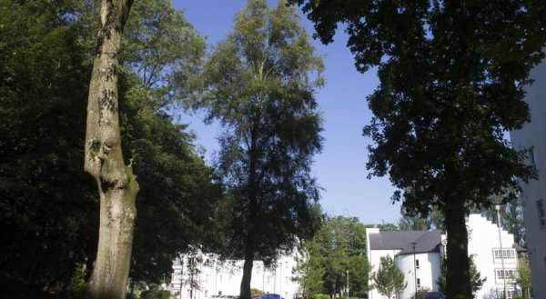 Castlewood Apartments