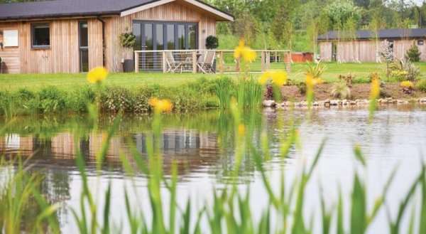 Cedar Retreats