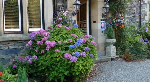 Chestnuts Guest House