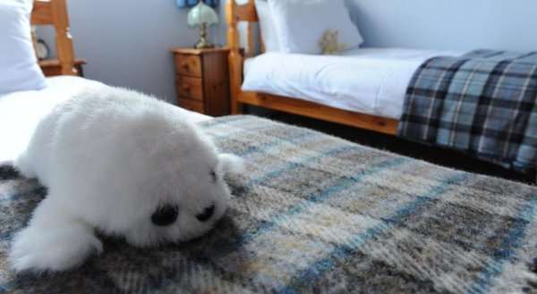 Decca - Self Catering Shetland