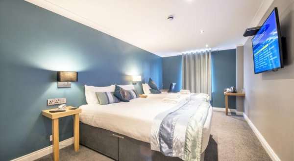 Dolphin Rooms
