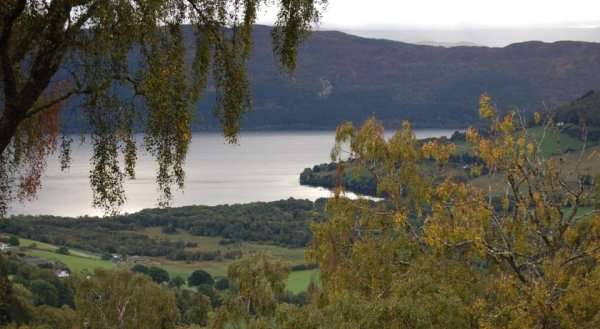 Drumnadrochit Lodges