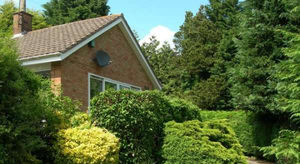 Lynden Lea