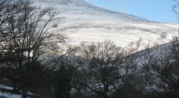 Plas Derwen