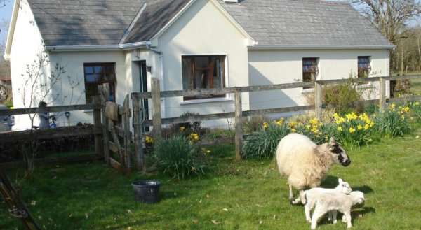 Hawthorn Farm Cottage