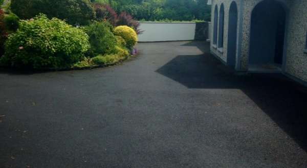 Palm Grove B&B