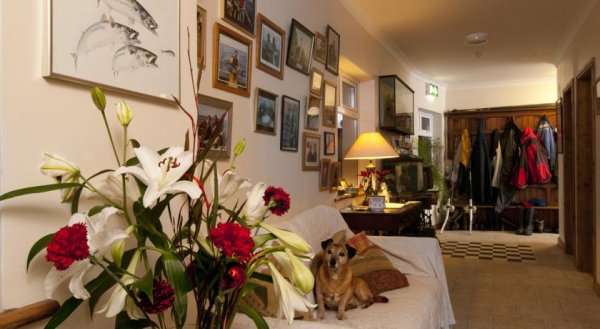 Sharamore House B&B