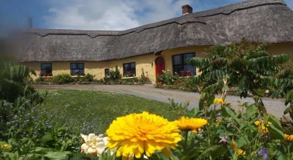 Spring Farm