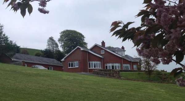 White Hill Country House B&B