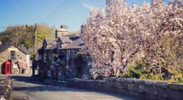 Victoria Inn
