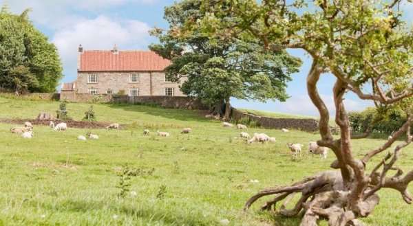 Warren Farmhouse