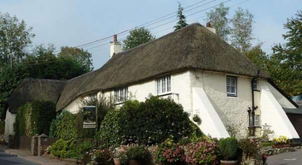 Wellington Farm Guesthouse and Tea Room