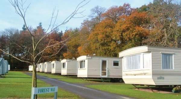 Forest Glade Holiday Park