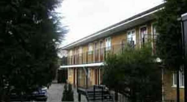Forest View Hotel