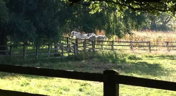 Grange Farm B & B