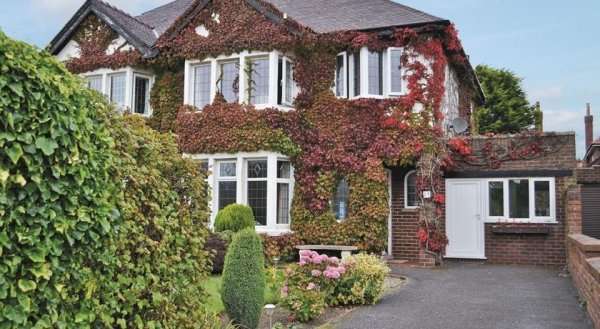 Ivy House