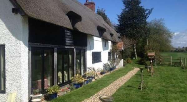 Meadow Thatch