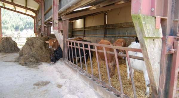 Middle Woodbatch Farm