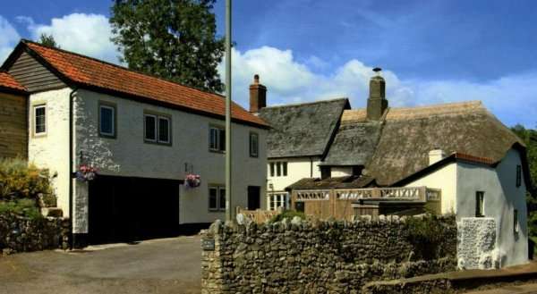 Rose Farm