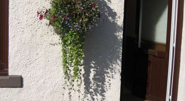 Seggat Farm Holiday Cottages