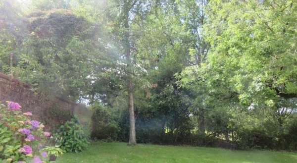 Serviced Apartments Eaglesham
